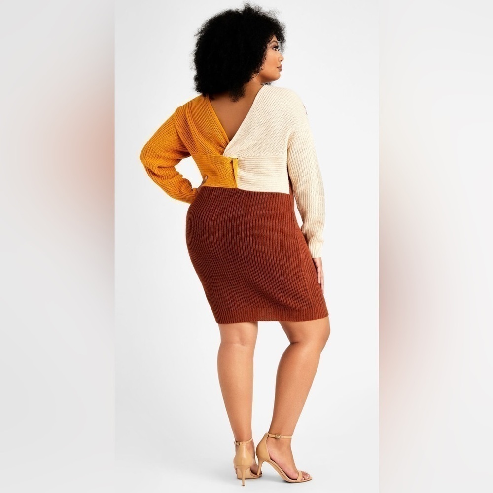 NEW Ashley Stewart Colorblock Cable Knit V-Back Knot Sweater Dress Size 14/16 - Picture 3 of 10